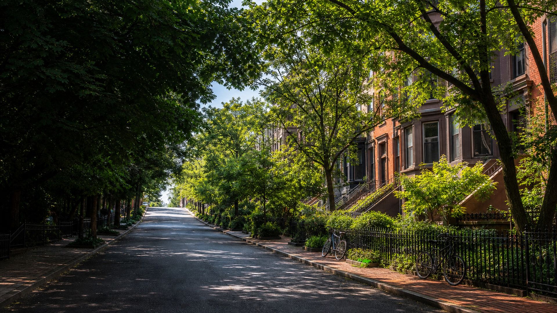 Sloping Park Slope block beneath a dense tree canopy