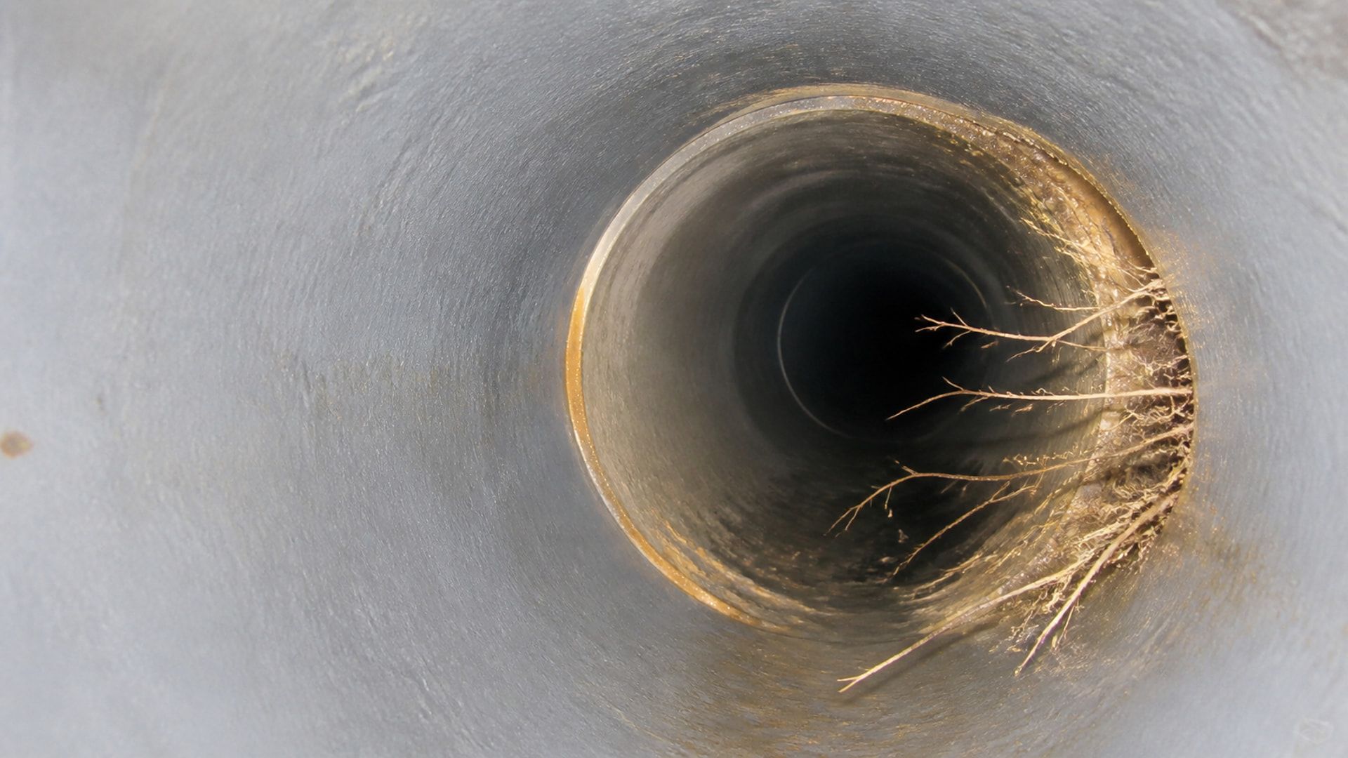 Fine tree roots entering a brightly ring-lit sewer pipe joint